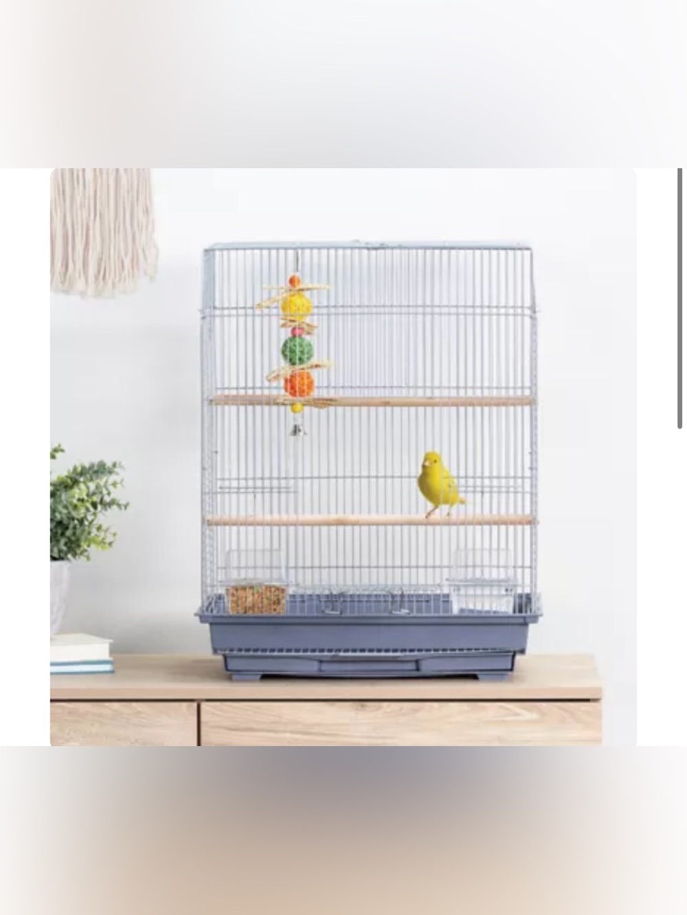 All Living Things® Essential Bird Cage - Silver